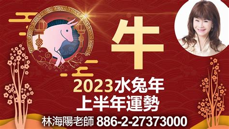 2023水兔年|2023是甚麼年？老人說「迎水兔 春秋不見天」(圖) 兔。